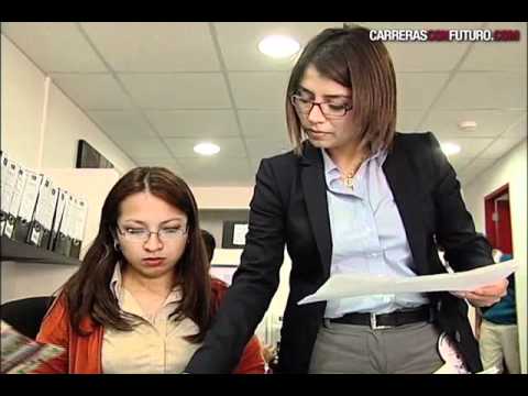 Áreas de trabajo en contabilidad