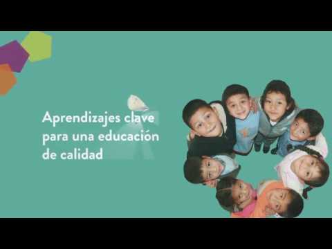 Campos de formación académica