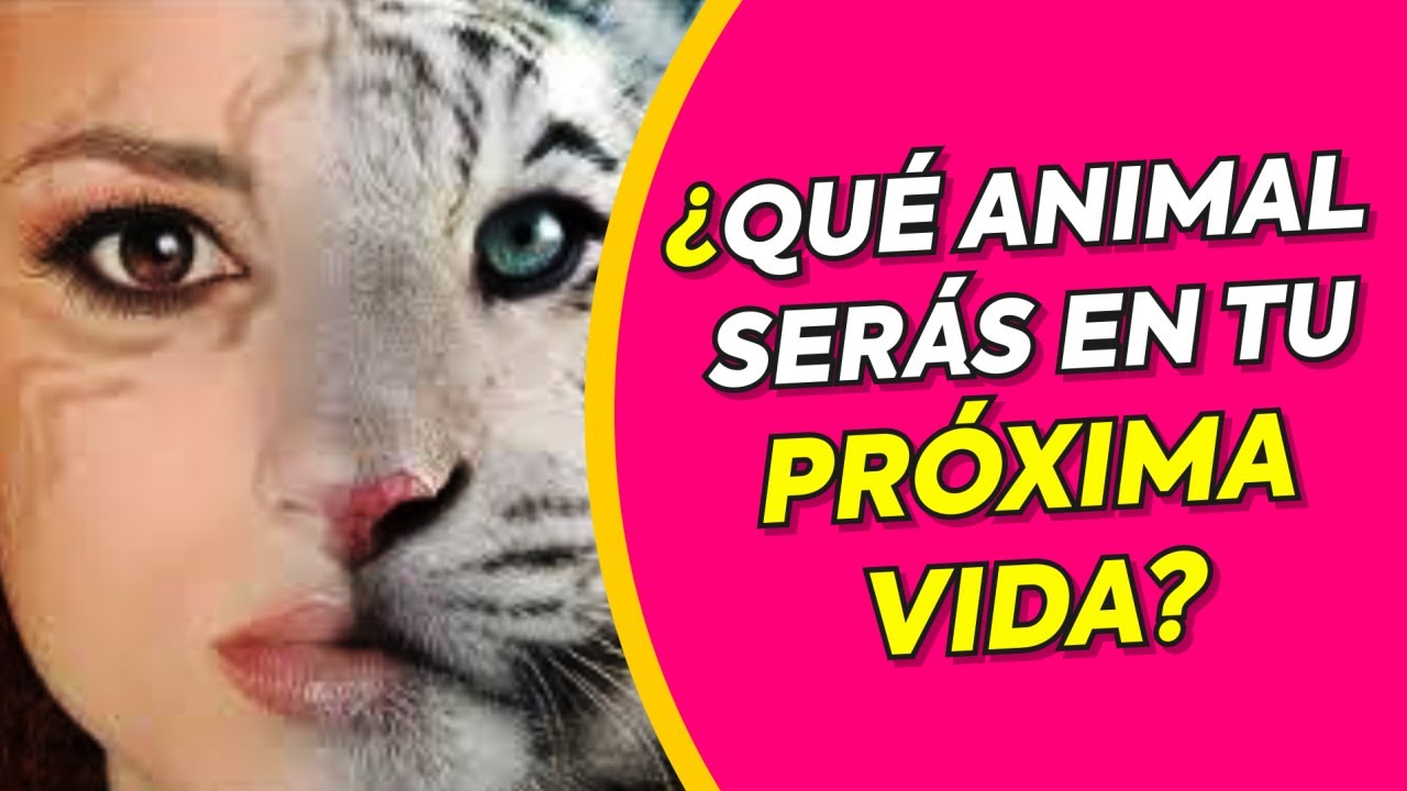Descubre tu próxima vida