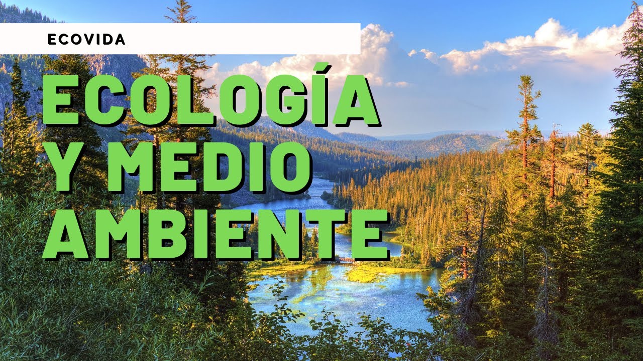 Diferencias entre ecología y medio ambiente