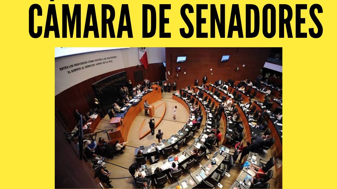Facultades de la Cámara de Senadores