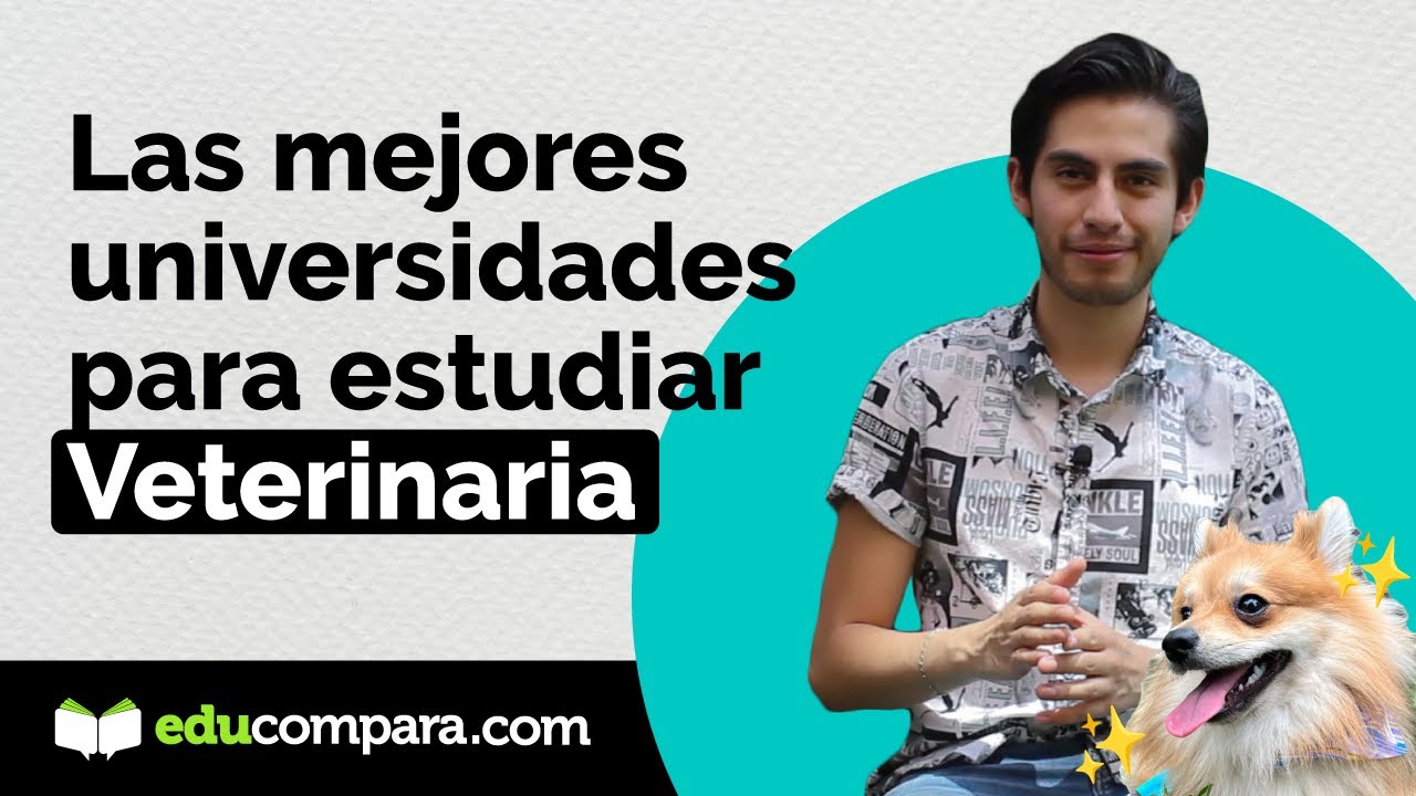 Las mejores escuelas de veterinaria en México: ¡Descúbrelas!