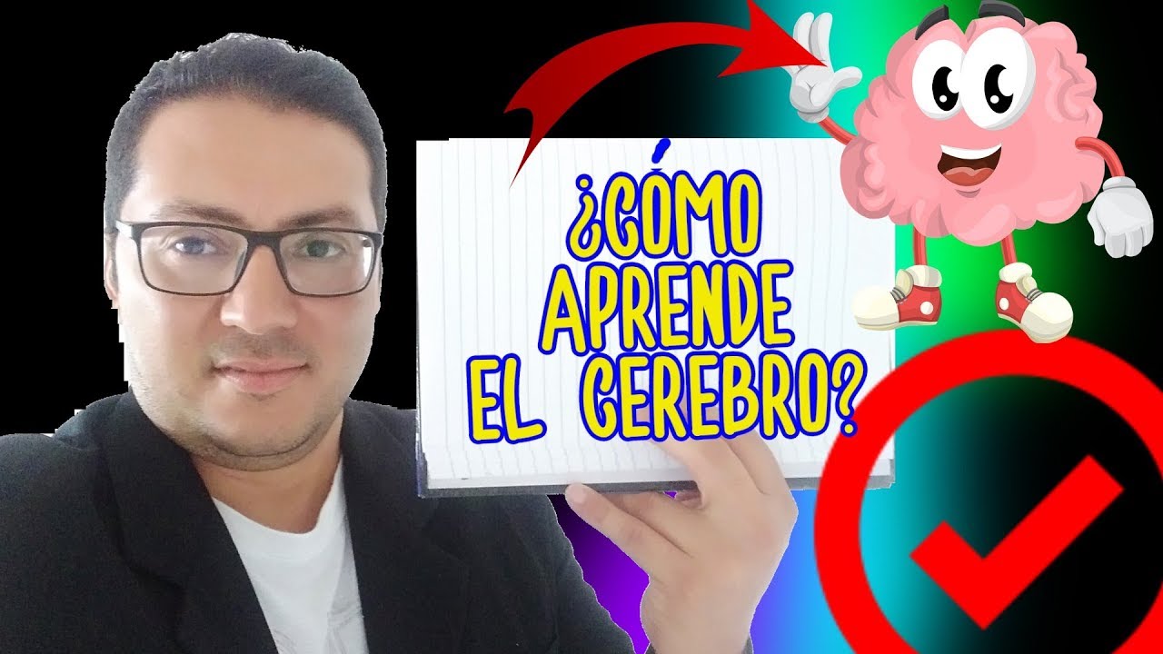 Los 12 principios básicos de la educación