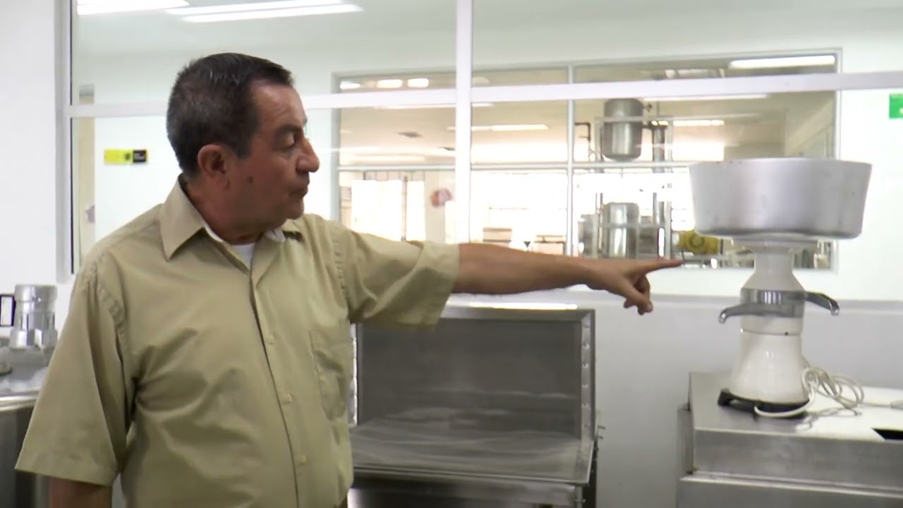 Manual de laboratorio de Ingeniería de Alimentos