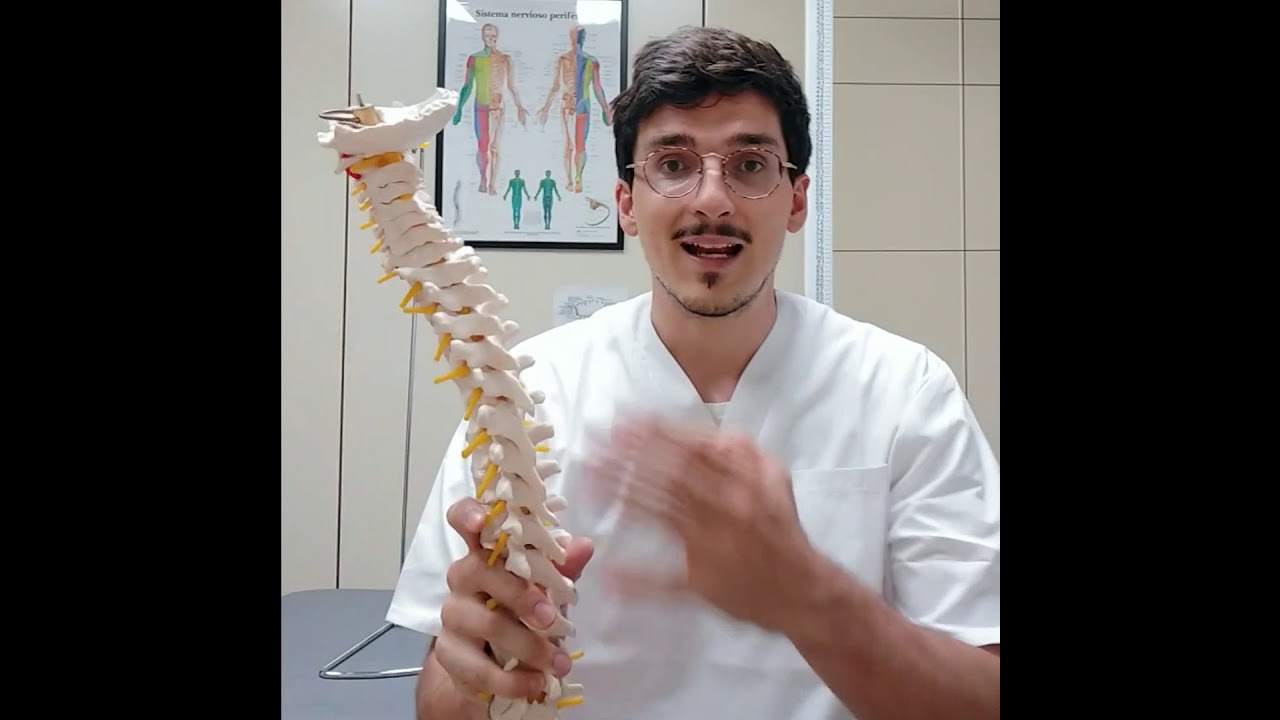 Quiropráctico: definición y beneficios