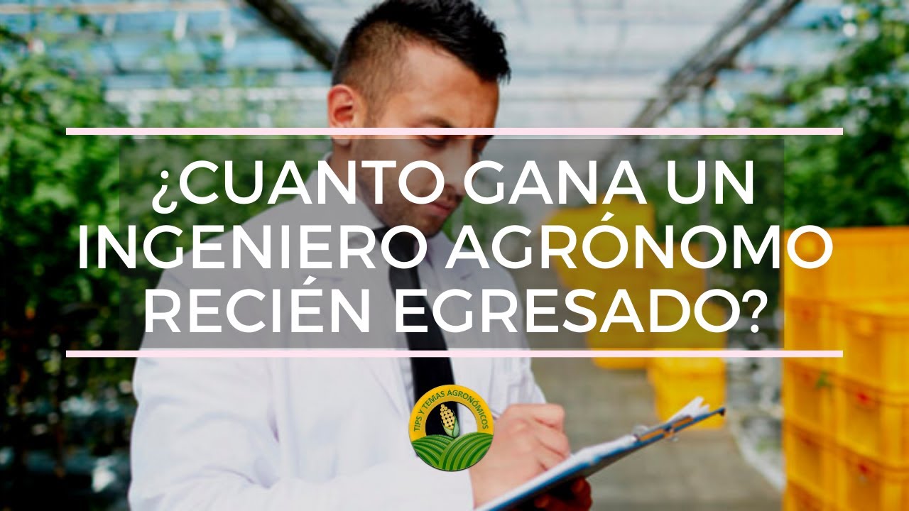 Sueldo de un ingeniero agrónomo