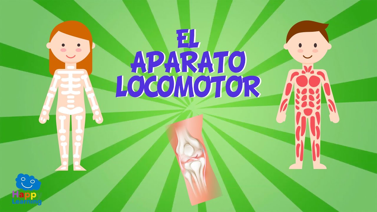 Todo sobre el movimiento locomotor en educación física