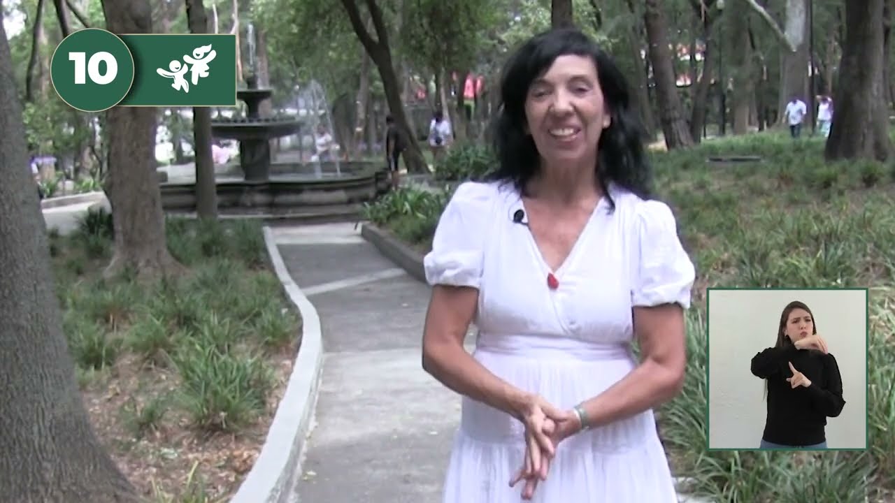 Acciones que dificultan el desarrollo integral: evítalas