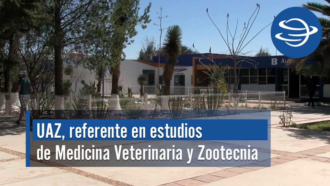 Aprende en la Unidad Académica de Medicina Veterinaria y Zootecnia UAZ