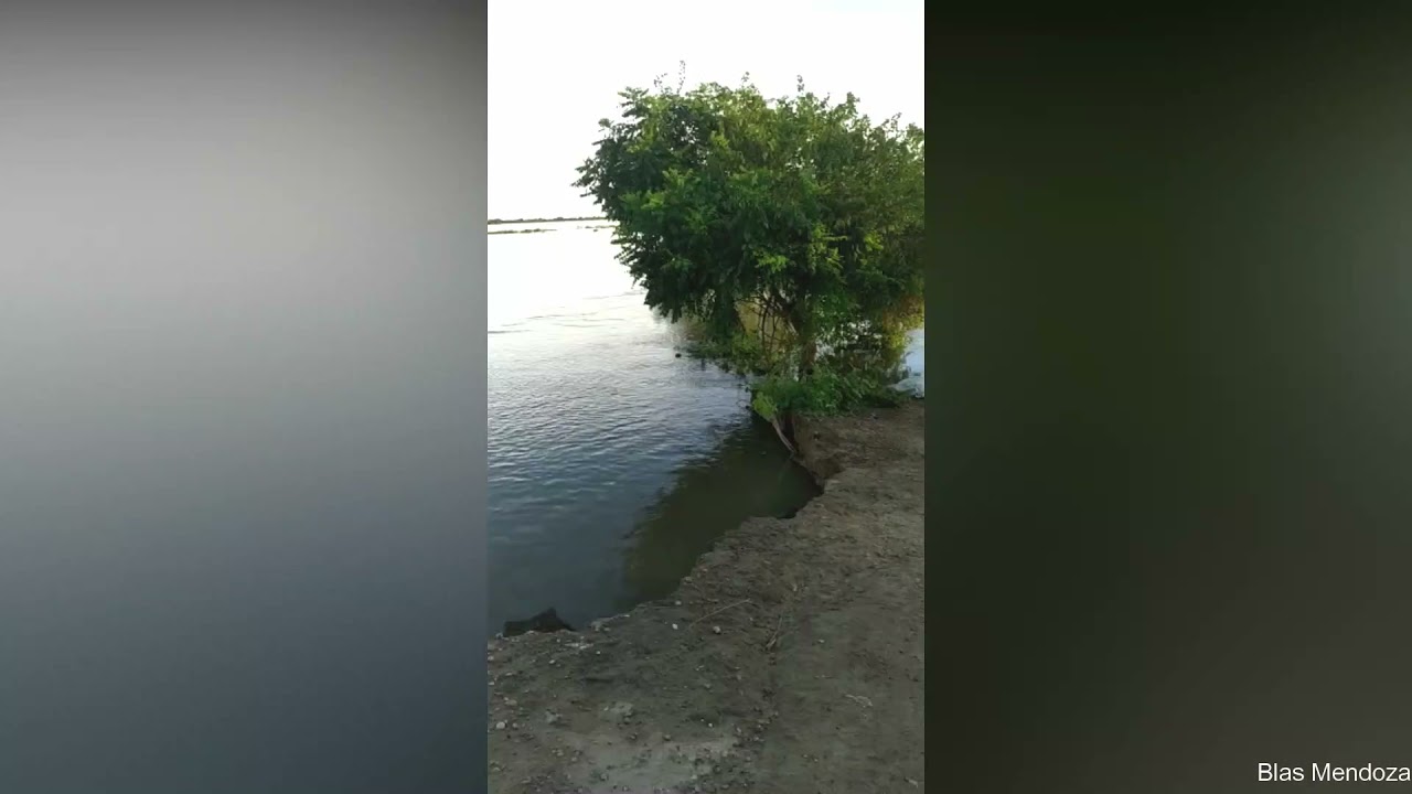 Área de Ciencias Naturales y Educación Ambiental