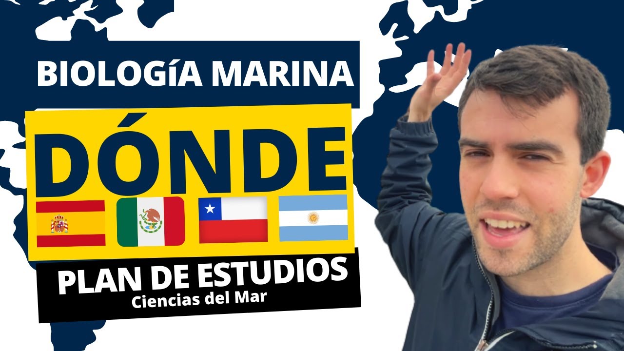 Biología Marina en la UV: Plan de estudios al detalle
