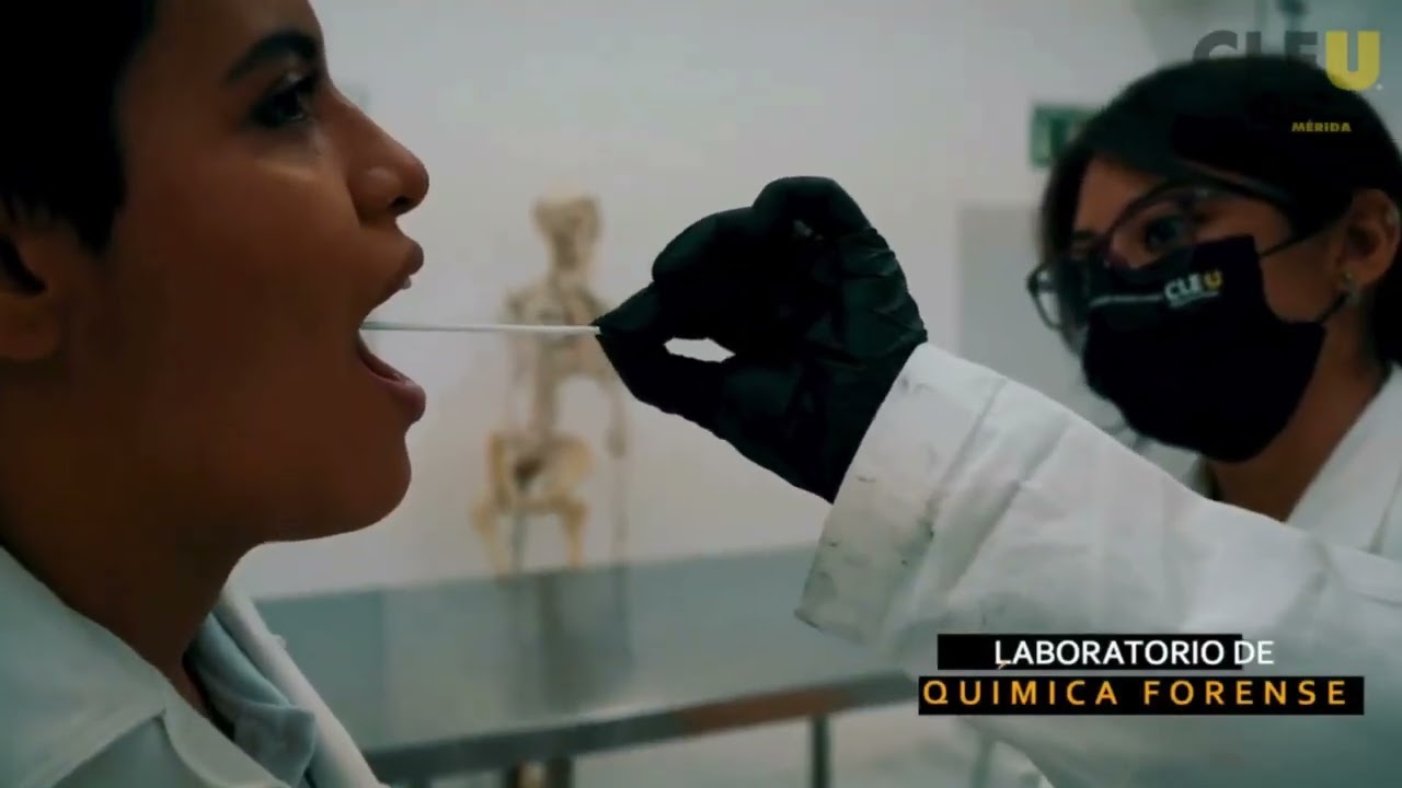 CLEU: Un colegio universitario sin barreras