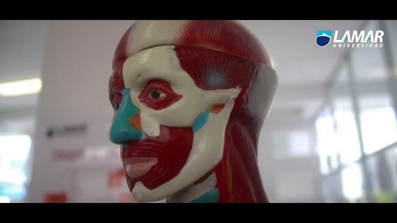 Campus Hidalgo 2 de la Universidad Guadalajara Lamar