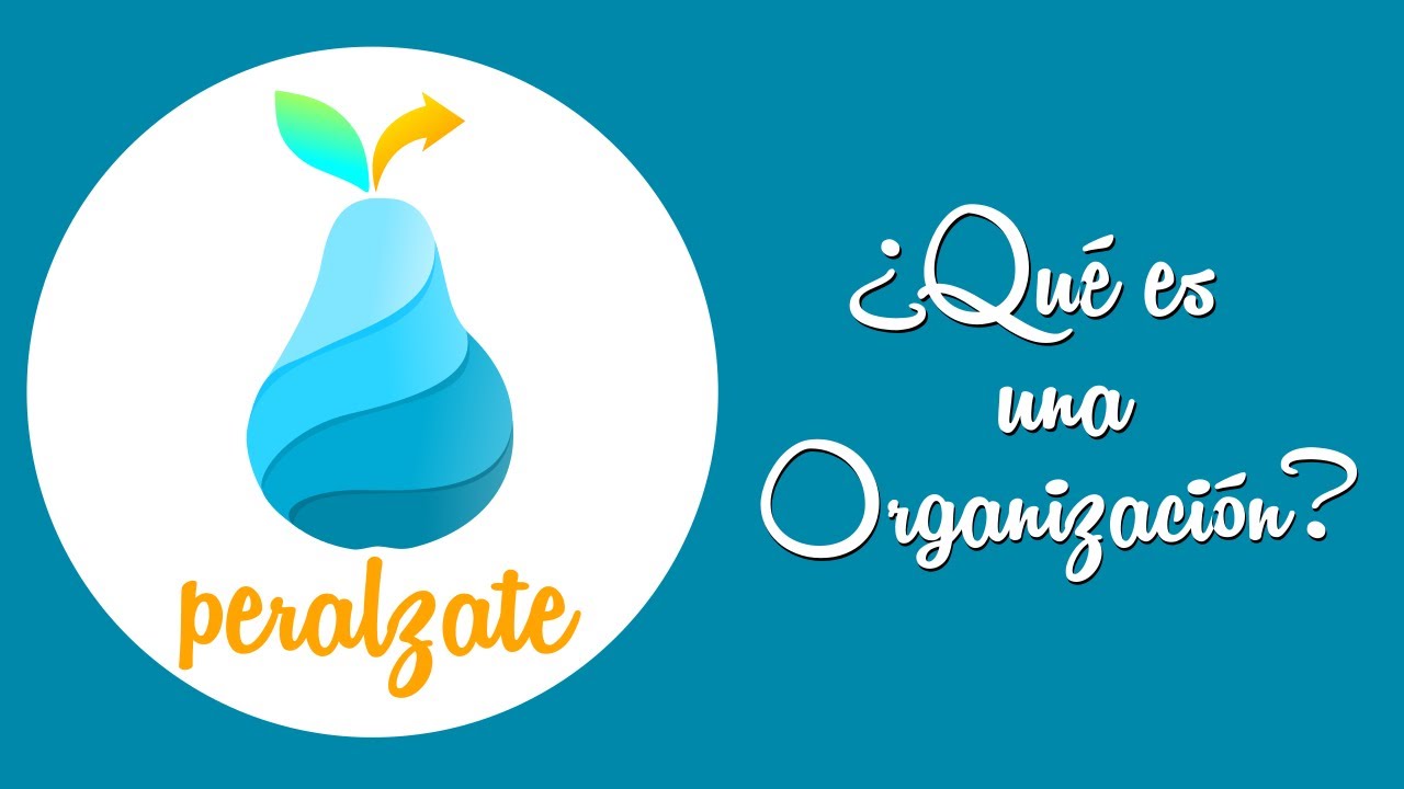 Características que definen a una organización