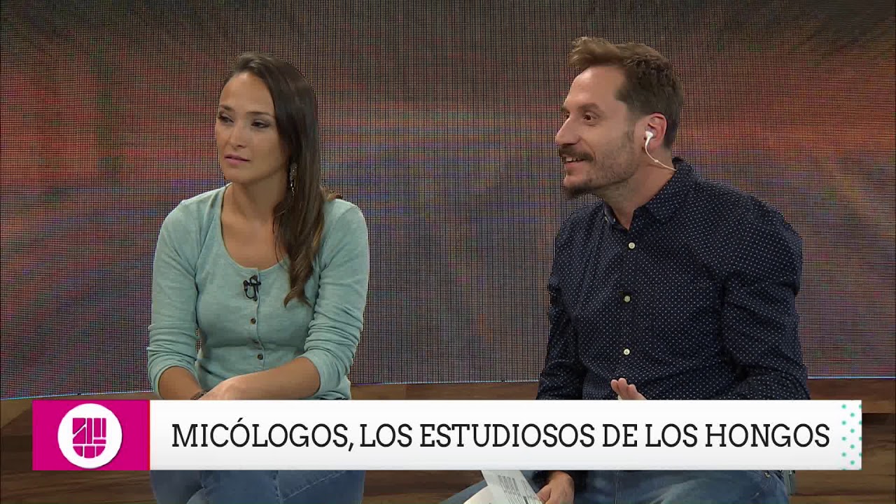 Ciencia que estudia los hongos