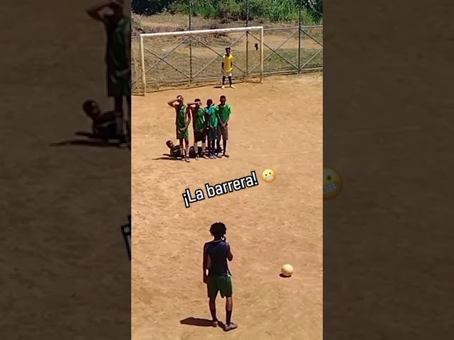 Clases de natación en Querétaro: ¡descubre precios y horarios!