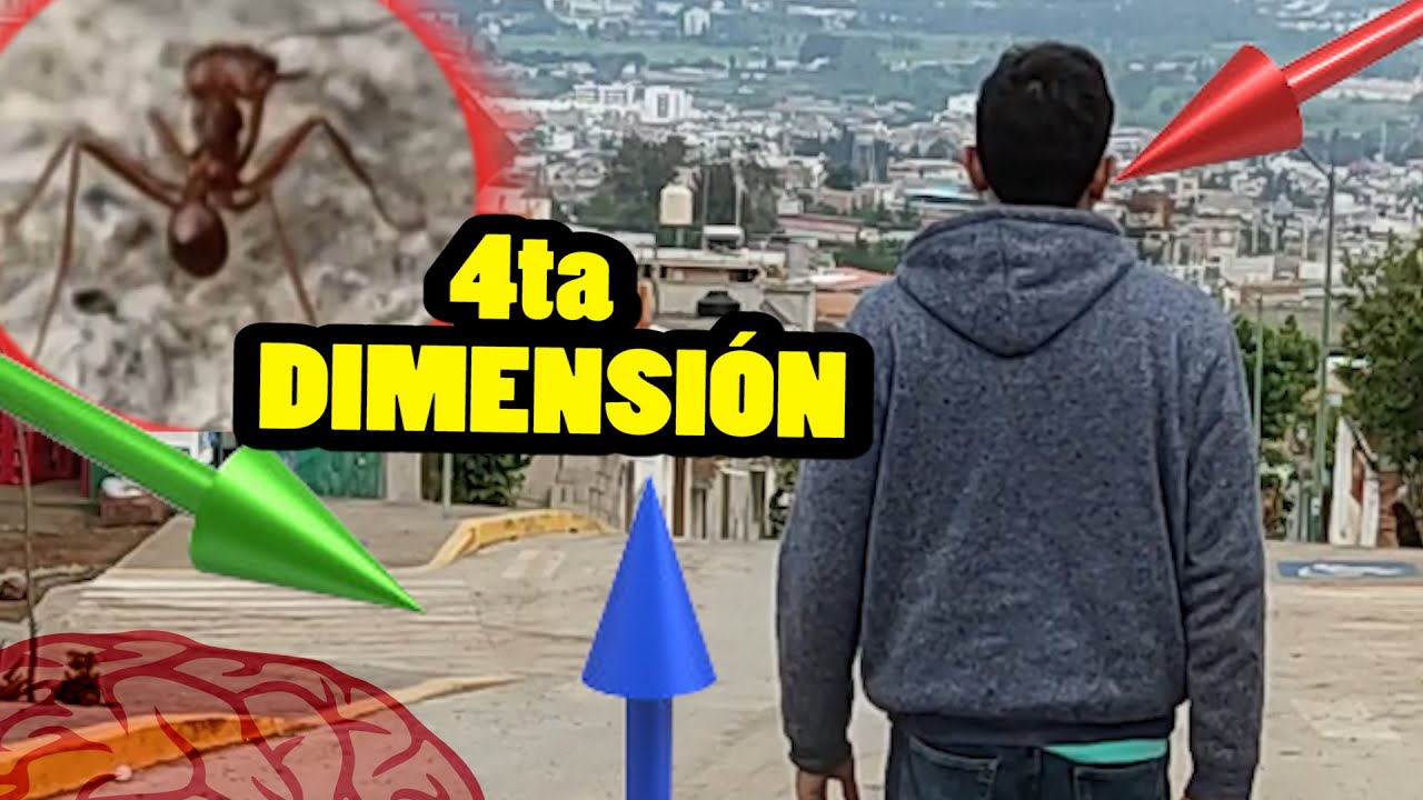 Explorando las cuatro dimensiones del ser humano