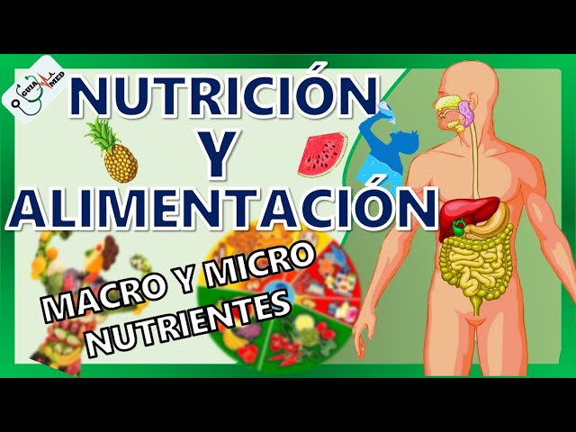Formación en enfermería en el Hospital de Nutrición