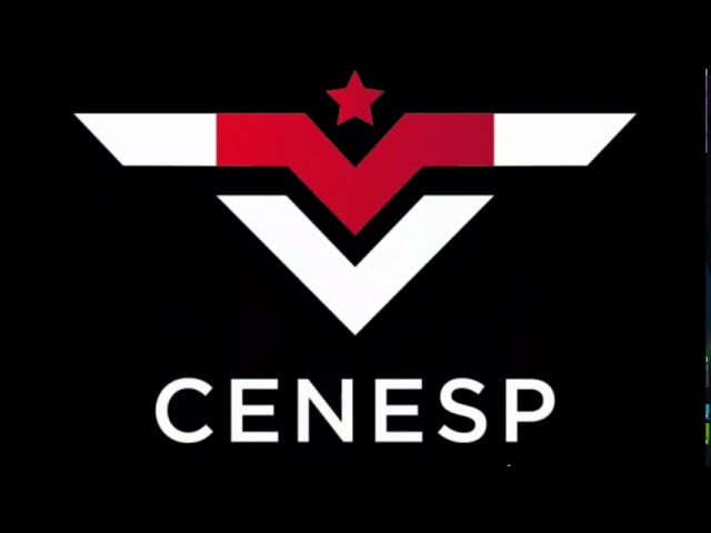 Las mejores oportunidades en seguridad privada en México