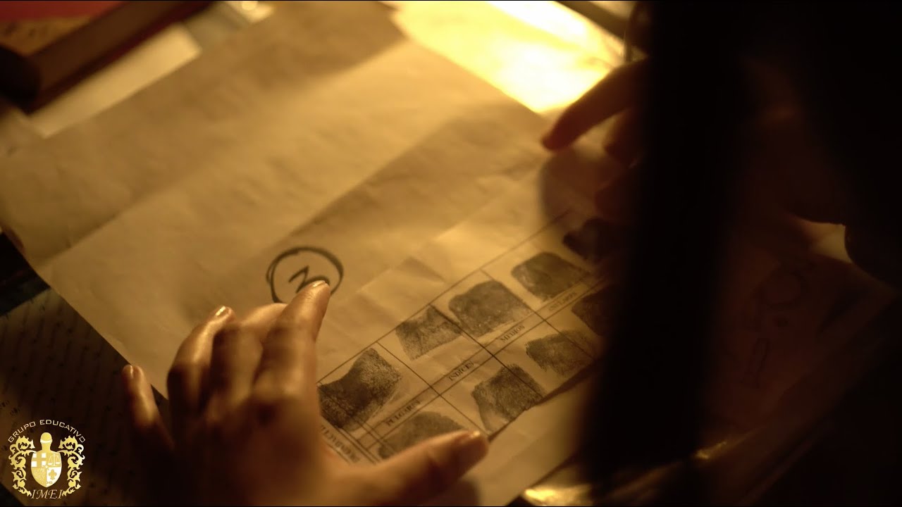 Licenciatura en Criminología: ¿Cuál es su rol?