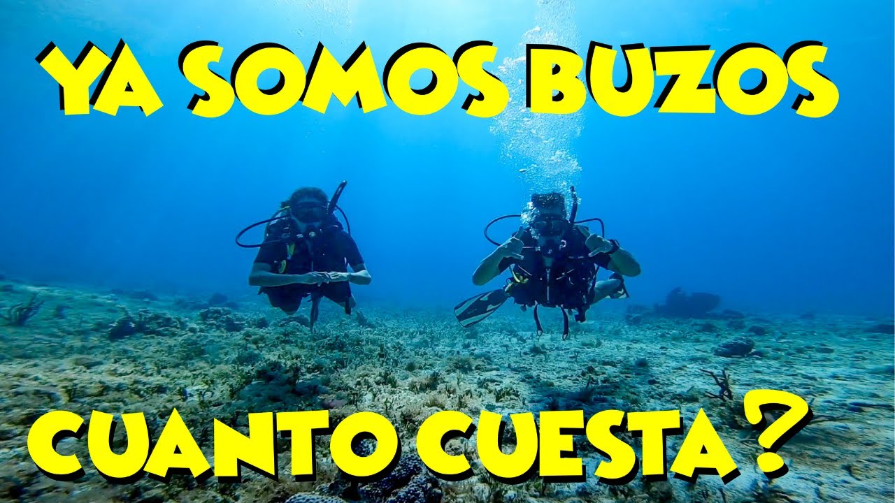 Mejores escuelas de buceo en México