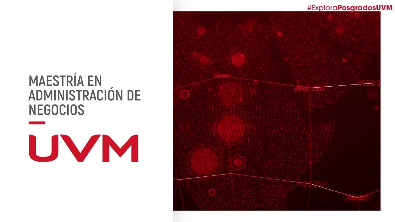 Plan de Estudios en Administración de Empresas en UVM