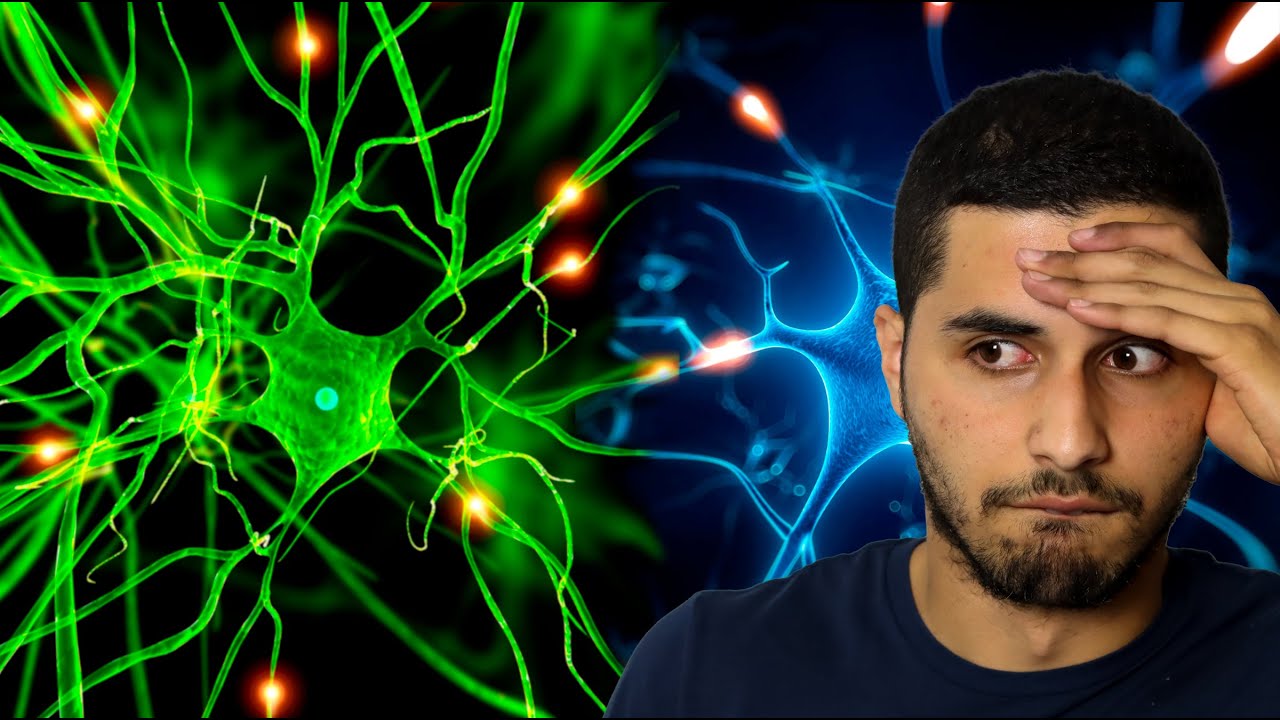 Prepara tu examen de Biología de forma eficaz: Bloque 2