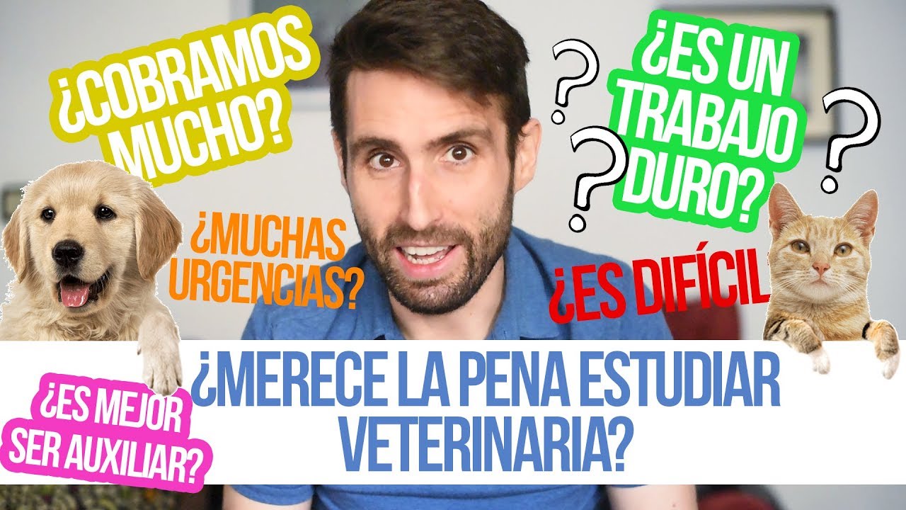 Universidades de Veterinaria en Estados Unidos