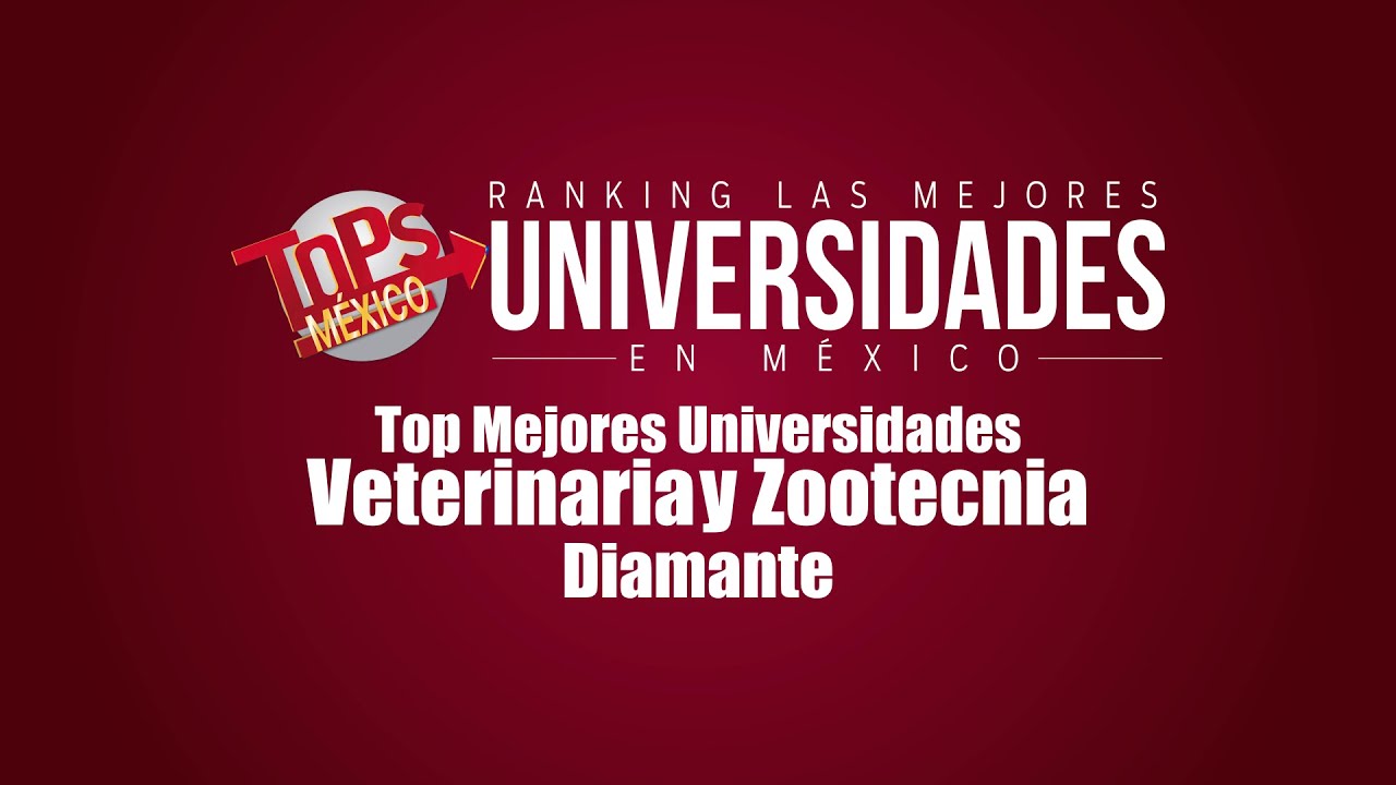 Veterinaria en México: universidades privadas de alto nivel