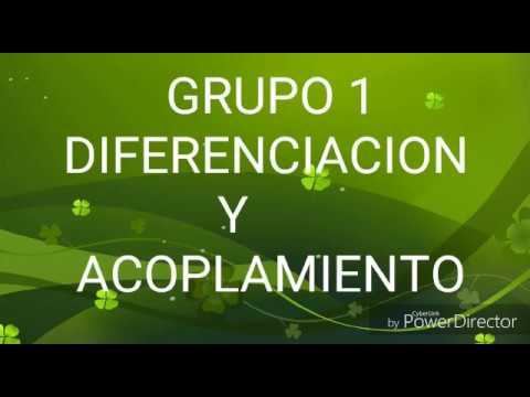 ¿Qué es el acoplamiento en educación física?