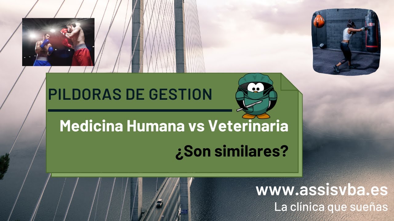 ¿Veterinaria o medicina cuál es más difícil?