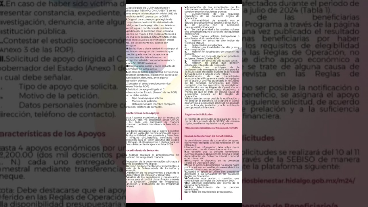 Apoyo para madres solteras en Apodaca