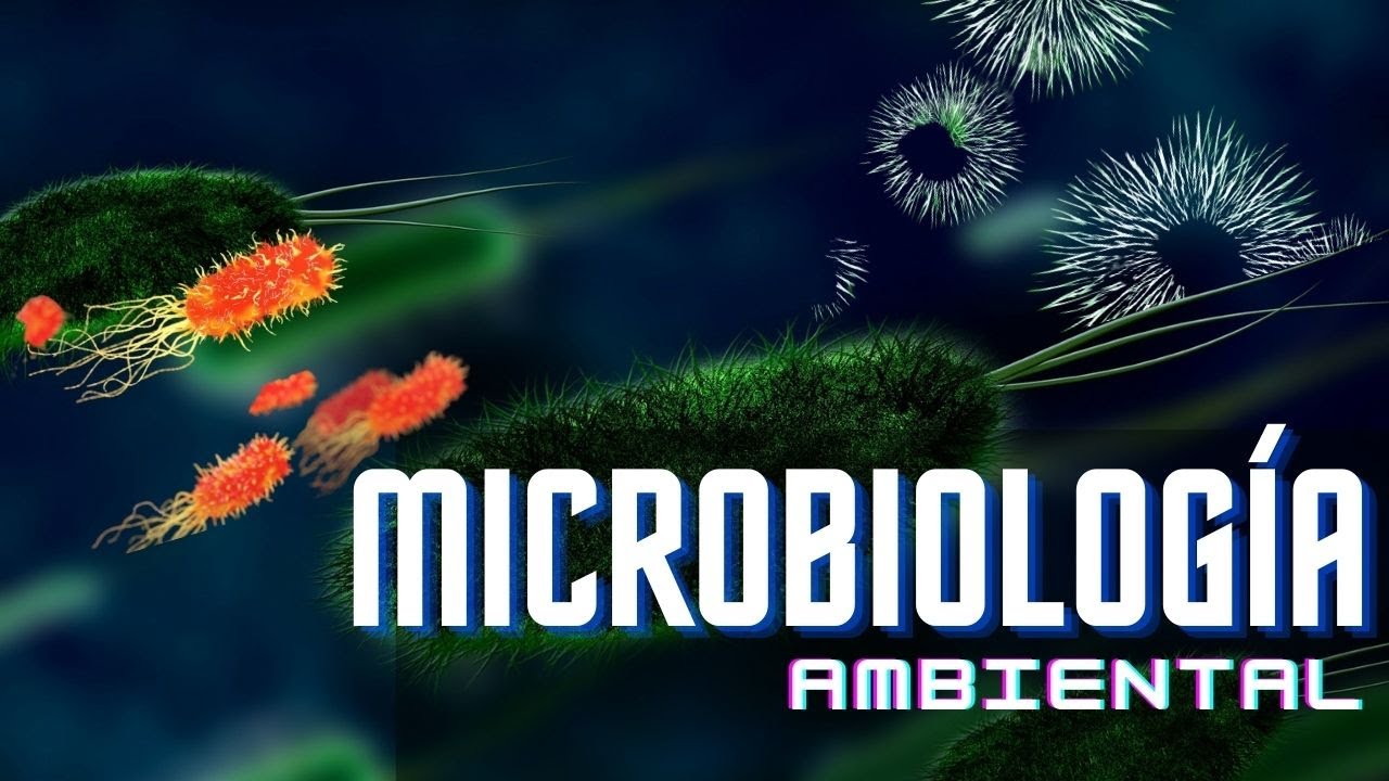 Campos de especialización en Microbiología