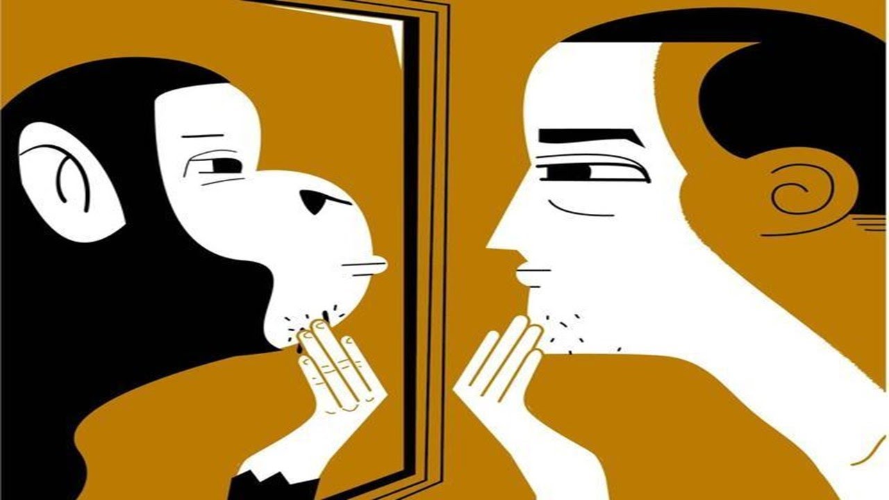 Diferencias entre seres humanos y animales