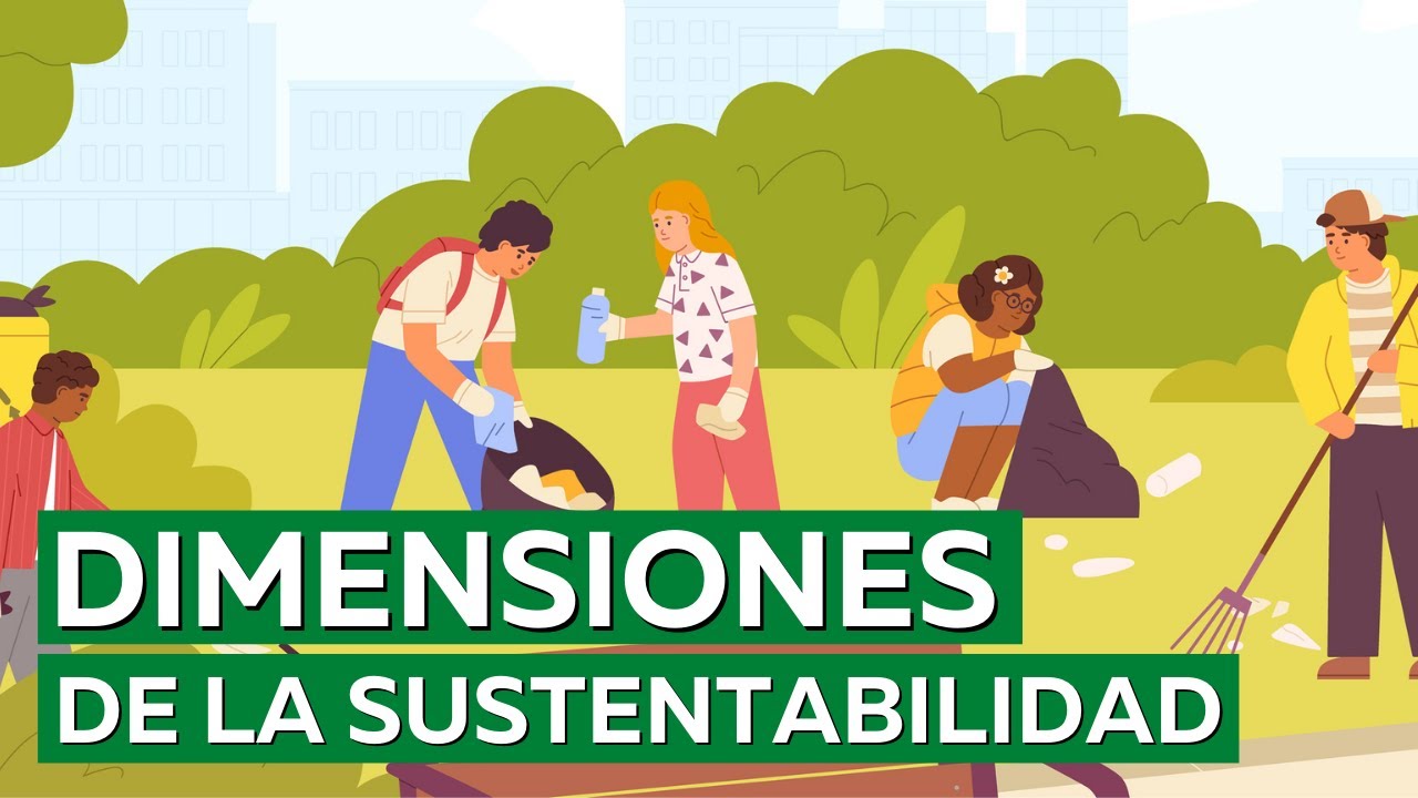 Dimensiones clave de la sustentabilidad