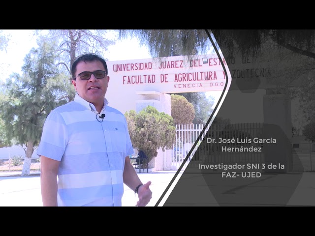 Facultad de Agricultura y Zootecnia en la UJED: Descúbrela