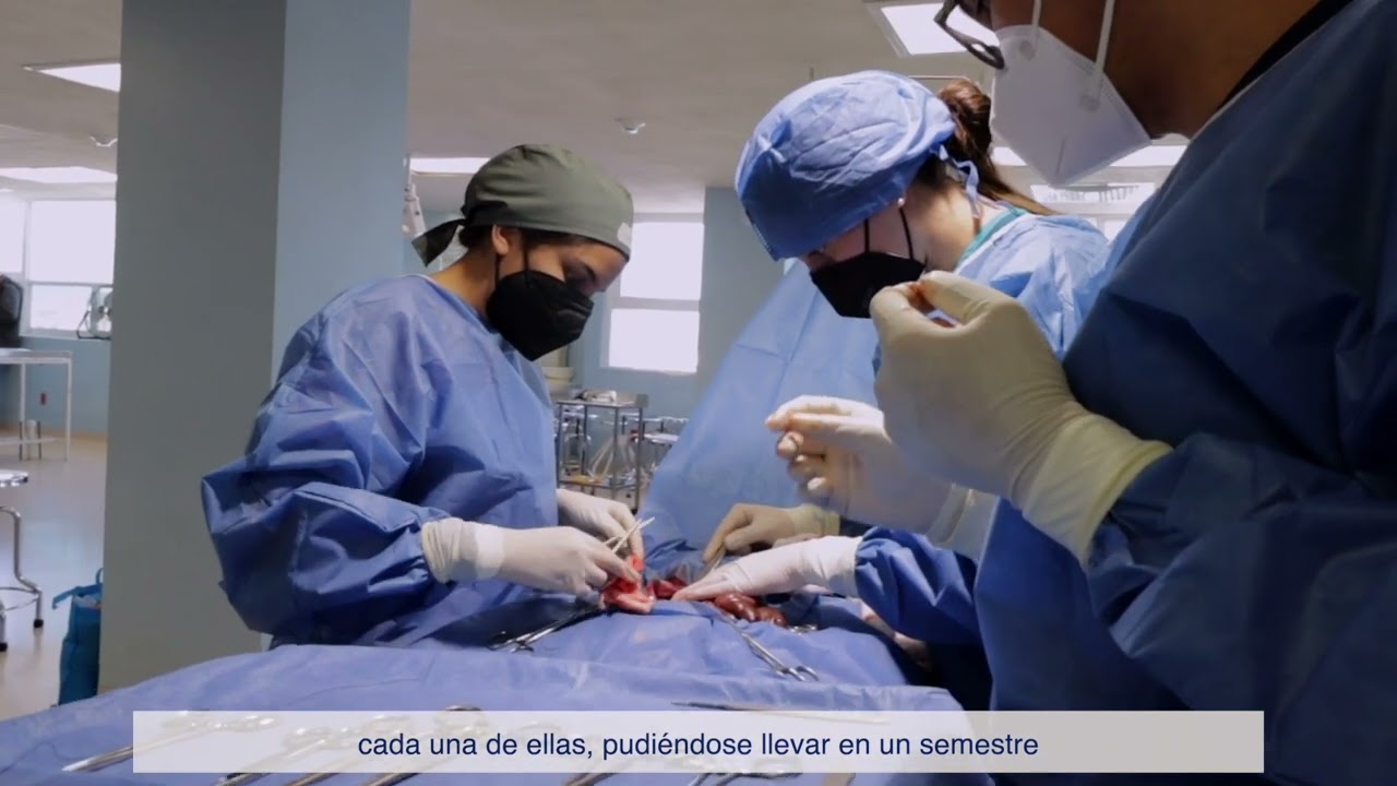 Facultad de Medicina en la Universidad Autónoma de León Guanajuato