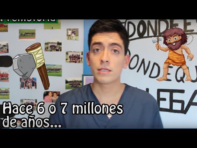 Historia de la fisioterapia en una línea del tiempo