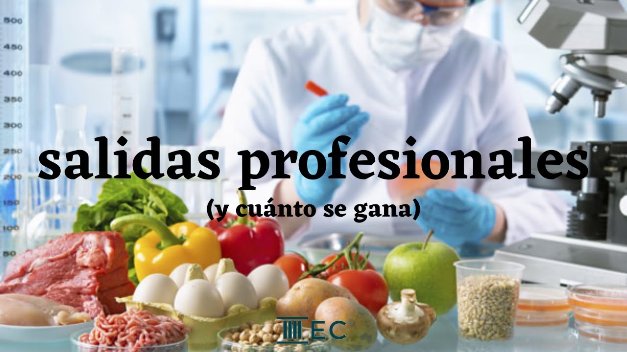Labores de un ingeniero en industrias alimentarias