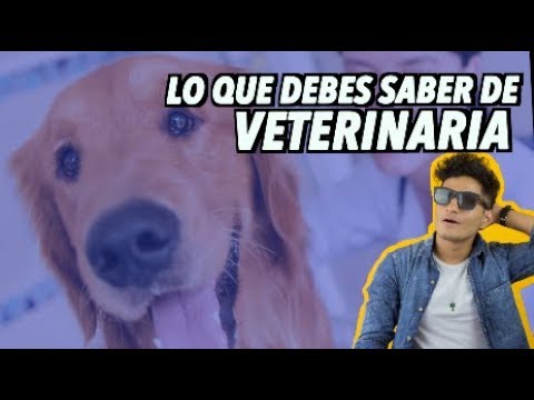 Medicina veterinaria y zootecnia en universidades privadas