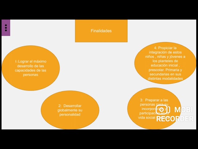 Objetivos concretos de la educación especial detallados