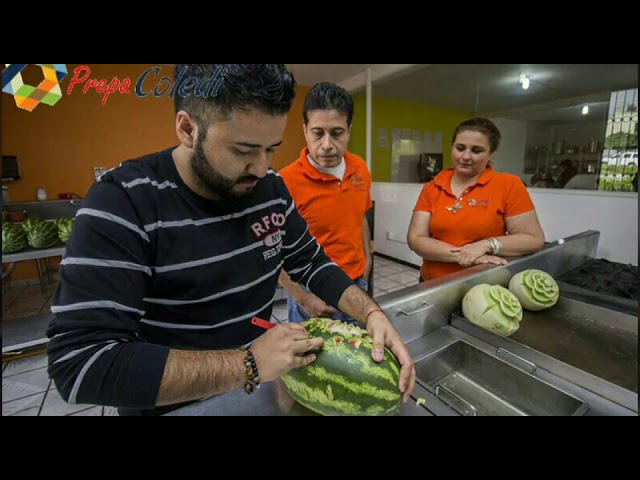 Preparatorias en San Juan del Río: Encuentra la que se adapte a ti