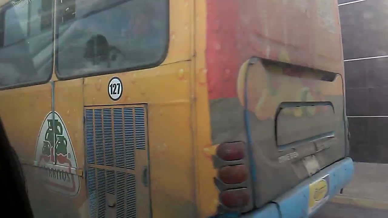 Recorriendo la Ruta 219 de Treboles