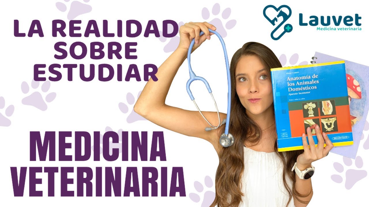 Requisitos para estudiar veterinaria