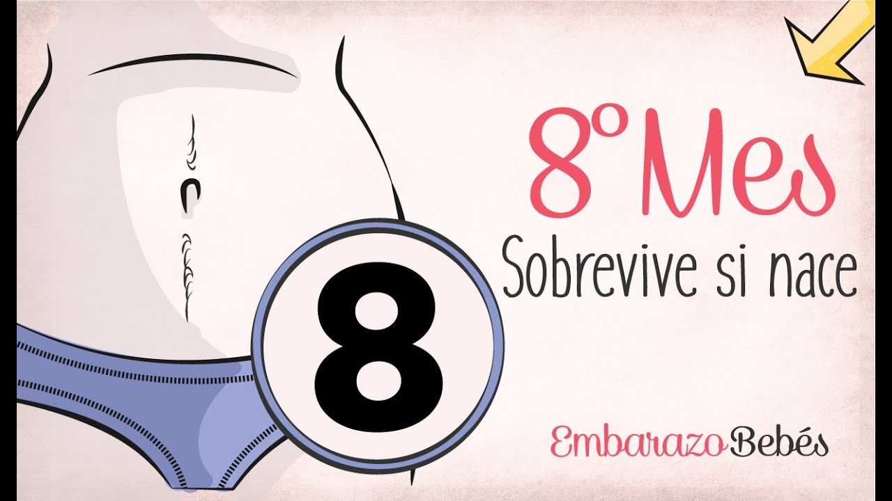 Semanas en 8 meses