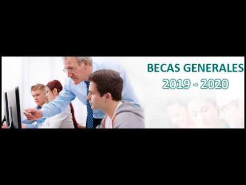 Verificación de estudios: ¡descúbrelo aquí!