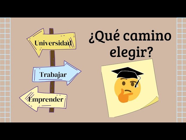 ¿Qué se estudia después del bachillerato?