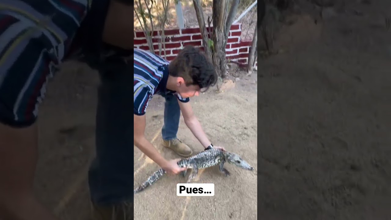 Biólogo marino: ¡Explora tu futuro en el mar!