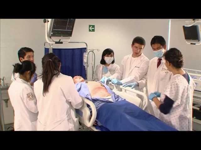 Ciencias biológicas químicas y de la salud