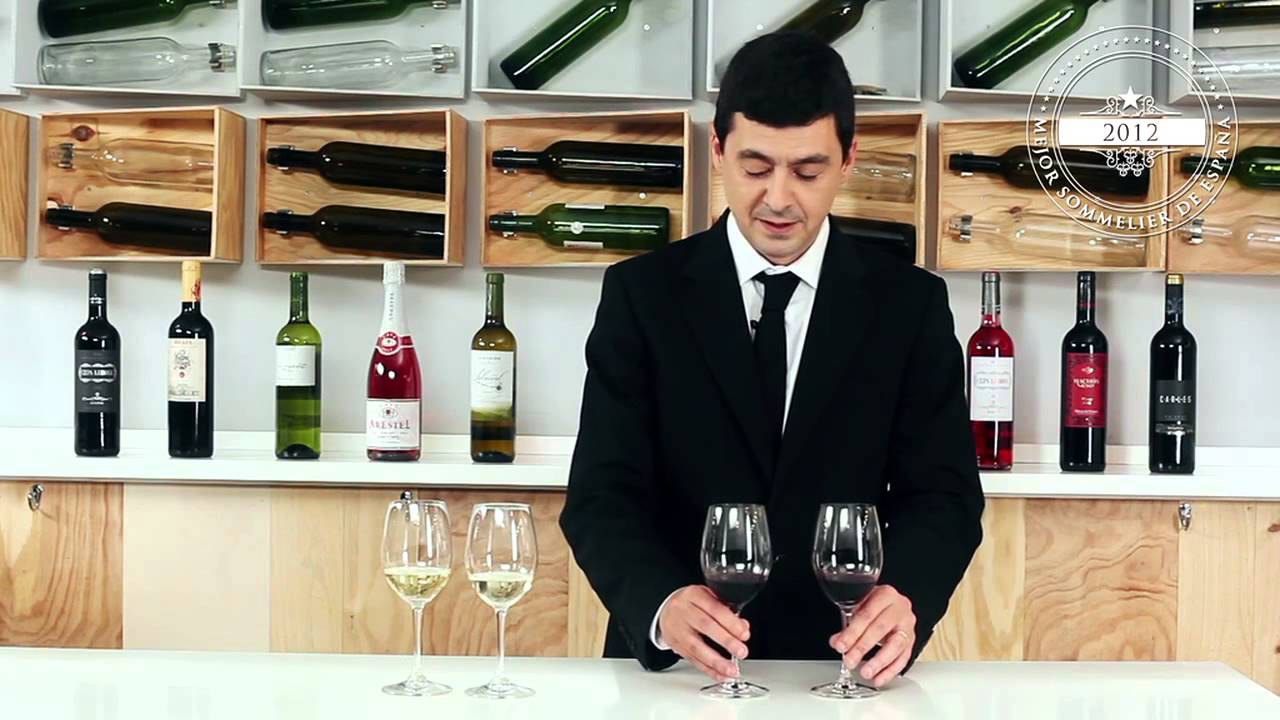 Cómo ser catador de vinos
